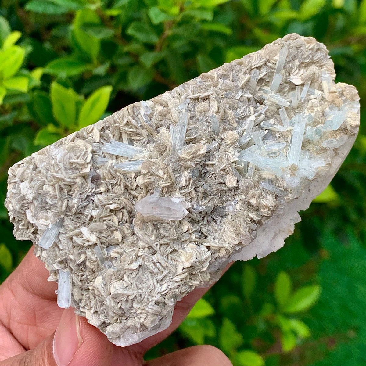 116 Grams Natural Aquamarine Terminated Cluster of Crystal with Gwindel Quartz Crystal on Muscovite Mica Matrix From Pakistan