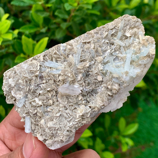 116 Grams Natural Aquamarine Terminated Cluster of Crystal with Gwindel Quartz Crystal on Muscovite Mica Matrix From Pakistan
