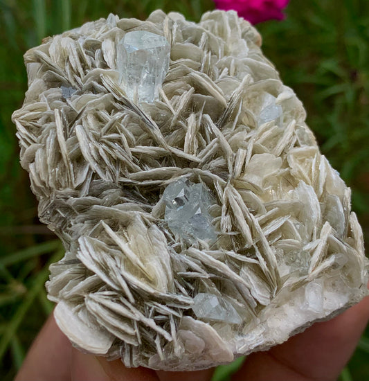 Natural Blue Aquamarine Terminated Crystals on Muscovite Mica Matrix – 184g Pakistan