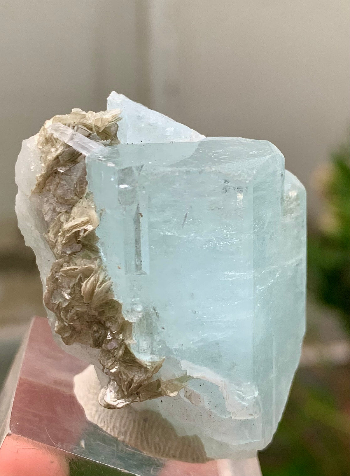47 Grams Natural Aquamarine Terminated Blue Crystal with Muscovite Mica Matrix from Gilgit Pakistan