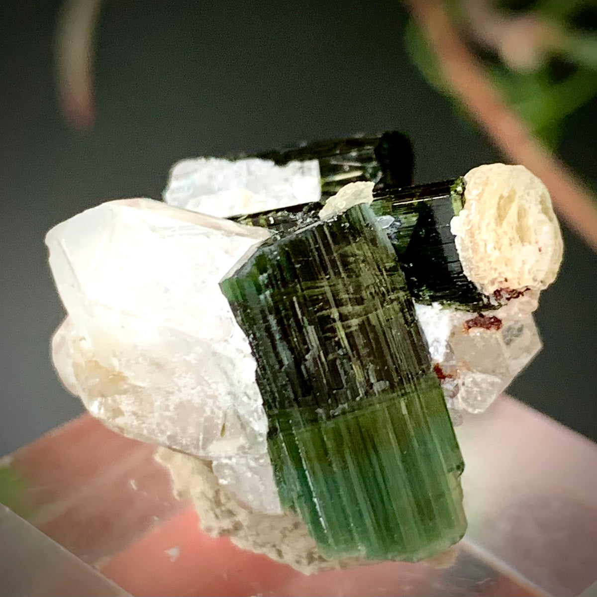 Natural Cat Eye Tourmaline Crystal with Terminated Quartz on Muscovite Mica Matrix – 10 Grams, Afghanistan