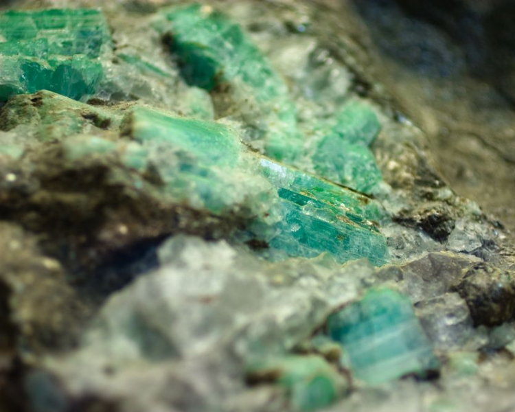 Passion, Expertise, and Legacy