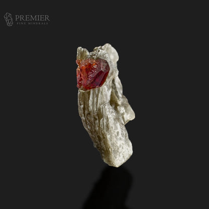 Thumbnail Rhodolite Garnet Crystal on Muscovite Mica – Skardu Pakistan