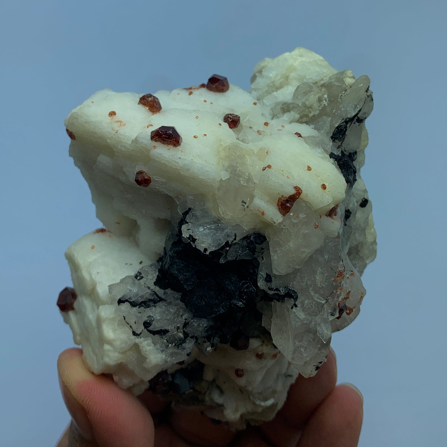 Red Garnet, Black Tourmaline, Feldspar Matrix, Tourmaline Garnet, Pakistan Specimen, Raw Crystal, Mineral Cluster, Collector Grade, Protection Crystal, Garnet on Matrix