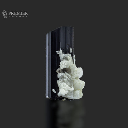 Double-Terminated Black Tourmaline Crystal with Albite –  Pakistan