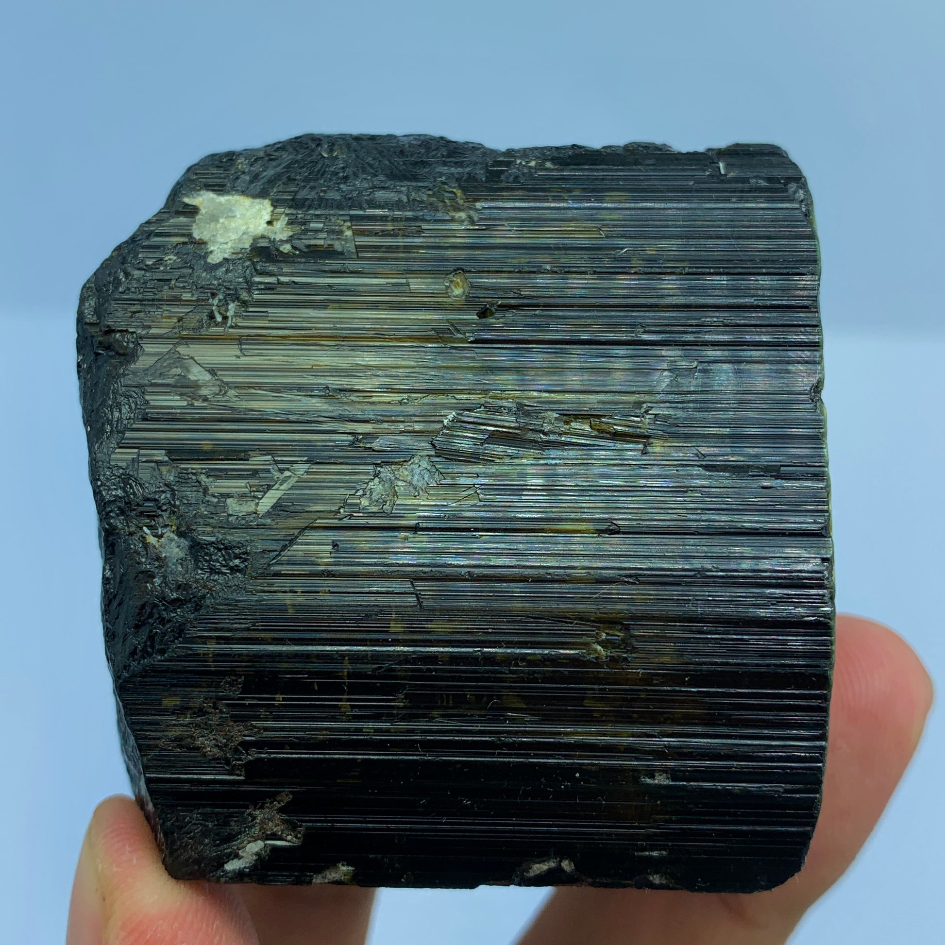 Black Tourmaline, Schorl Crystal, 1800 Carats, Etched Termination, Massive Crystal, Pakistan Mineral, Grounding Stone, Healing Crystal, Collector Specimen, Investment Stone, Tourmaline Crystal, Root Chakra, Crystal Dimensions