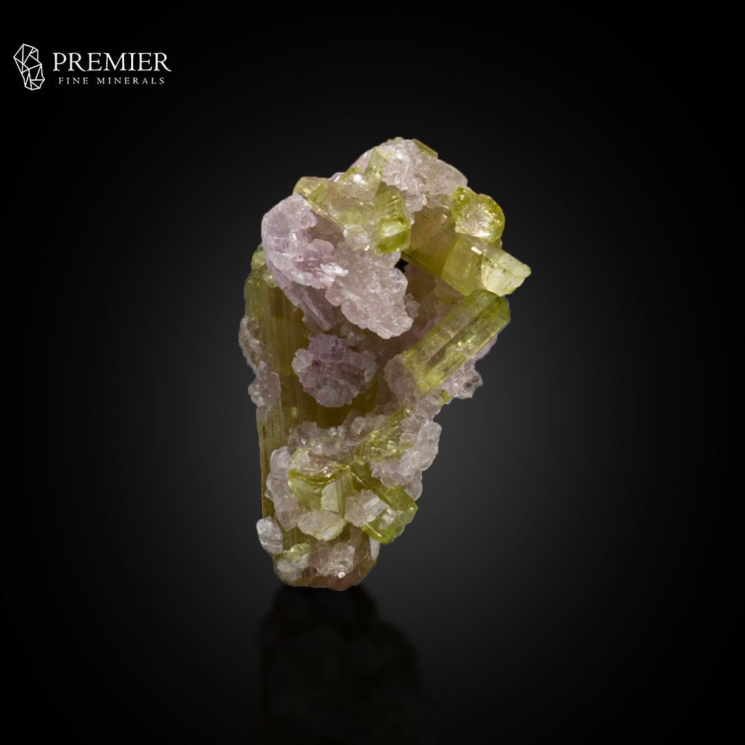 Watermelon Tourmaline with Lepidolite on Matrix – Afghanistan
