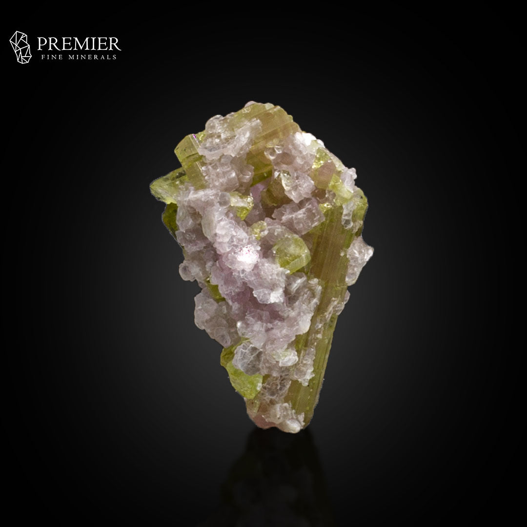 Watermelon Tourmaline with Lepidolite on Matrix – Afghanistan