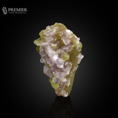 Watermelon Tourmaline with Lepidolite on Matrix – Afghanistan