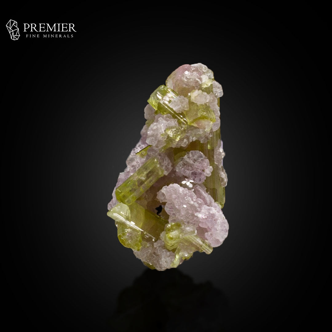 Watermelon Tourmaline with Lepidolite on Matrix – Afghanistan