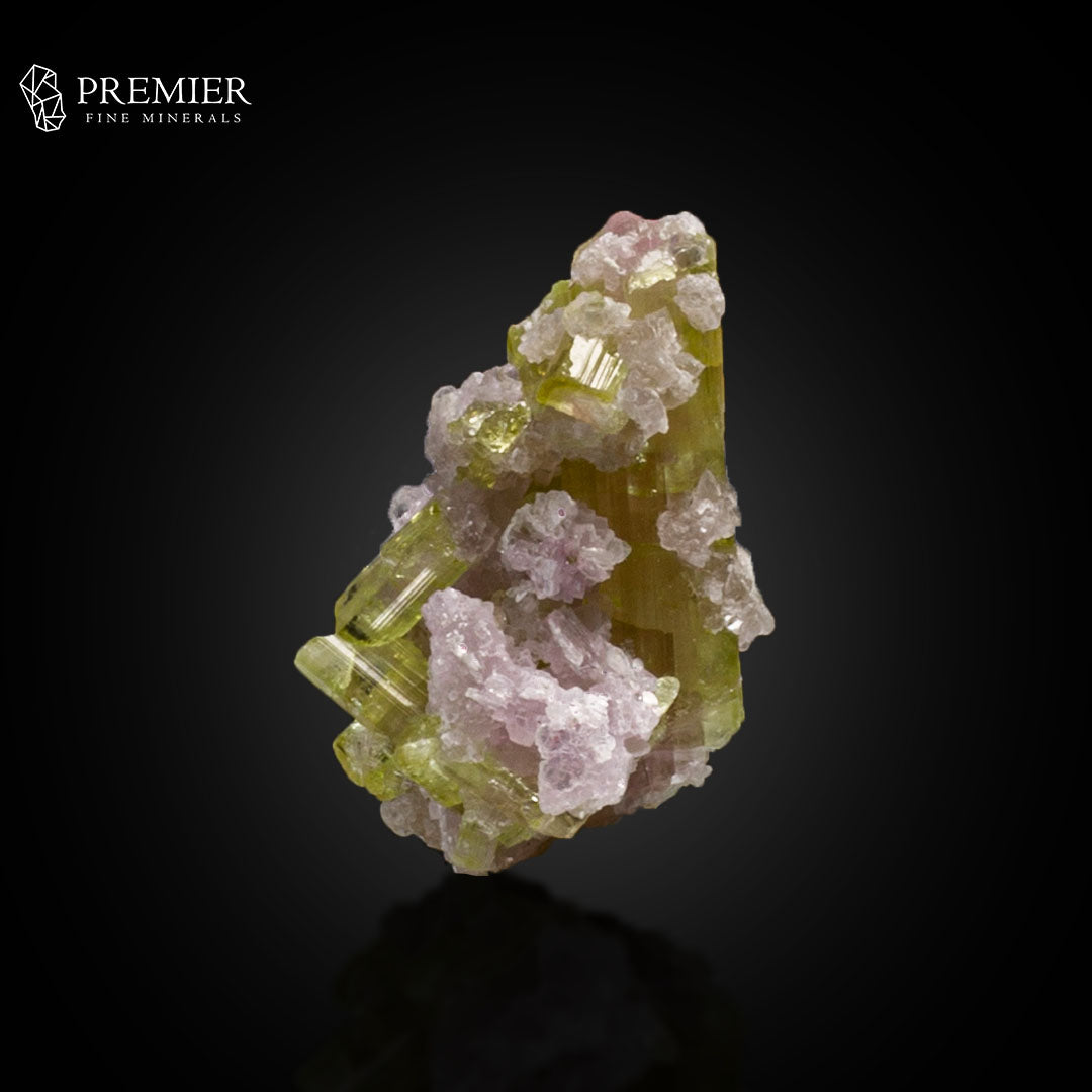 Watermelon Tourmaline with Lepidolite on Matrix – Afghanistan
