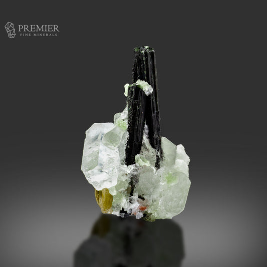 GreenCap Tourmaline with DT Aquamarine, Mica & Quartz –  Pakistan