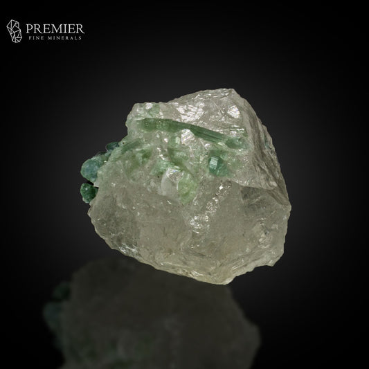 Seafoam Tourmaline Cluster on Quartz –  Afghanistan
