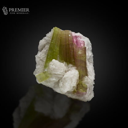 Watermelon Bicolour Tourmaline Crystal Bunch – Afghanistan