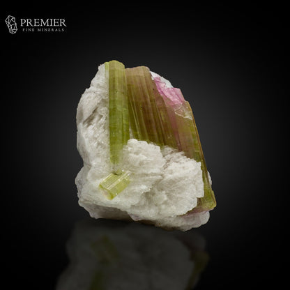 Watermelon Bicolour Tourmaline Crystal Bunch – Afghanistan