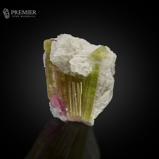Watermelon Bicolour Tourmaline Crystal Bunch – Afghanistan