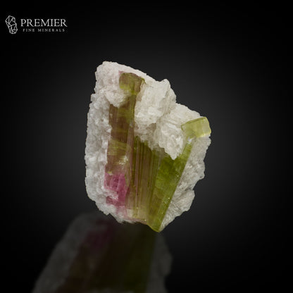 Watermelon Bicolour Tourmaline Crystal Bunch – Afghanistan
