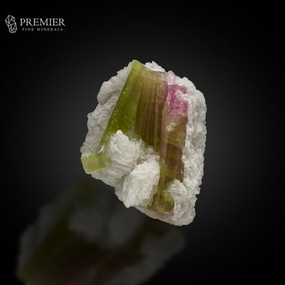 Watermelon Bicolour Tourmaline Crystal Bunch – Afghanistan