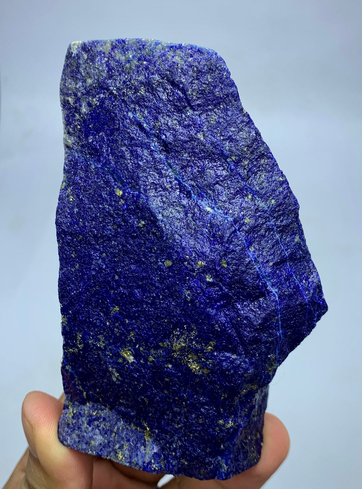 Afghan Lapis Lazuli specimen, side profile view
366g raw Lapis Lazuli specimen with Pyrite inclusions
Lapis Lazuli rough specimen, front angle, deep blue color
Close-up view of Pyrite veins on Lapis Lazuli specimen
Badakhshan Lapis Lazuli specimen, natural rough texture