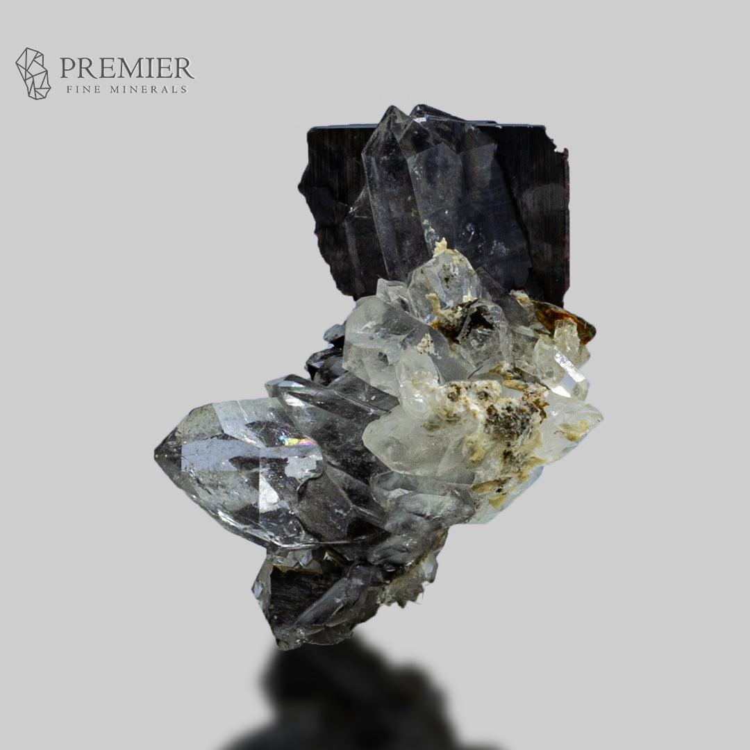 Rare Brookite on Quartz Matrix Miniature | TiO2 Specimen – Premier Fine ...