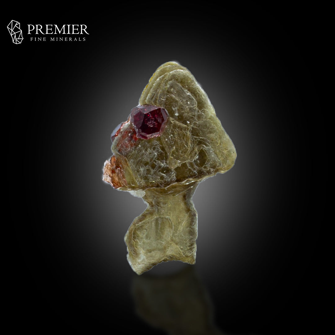 Rhodolite Garnet on Muscovite Mica – Pakistan Thumbnail