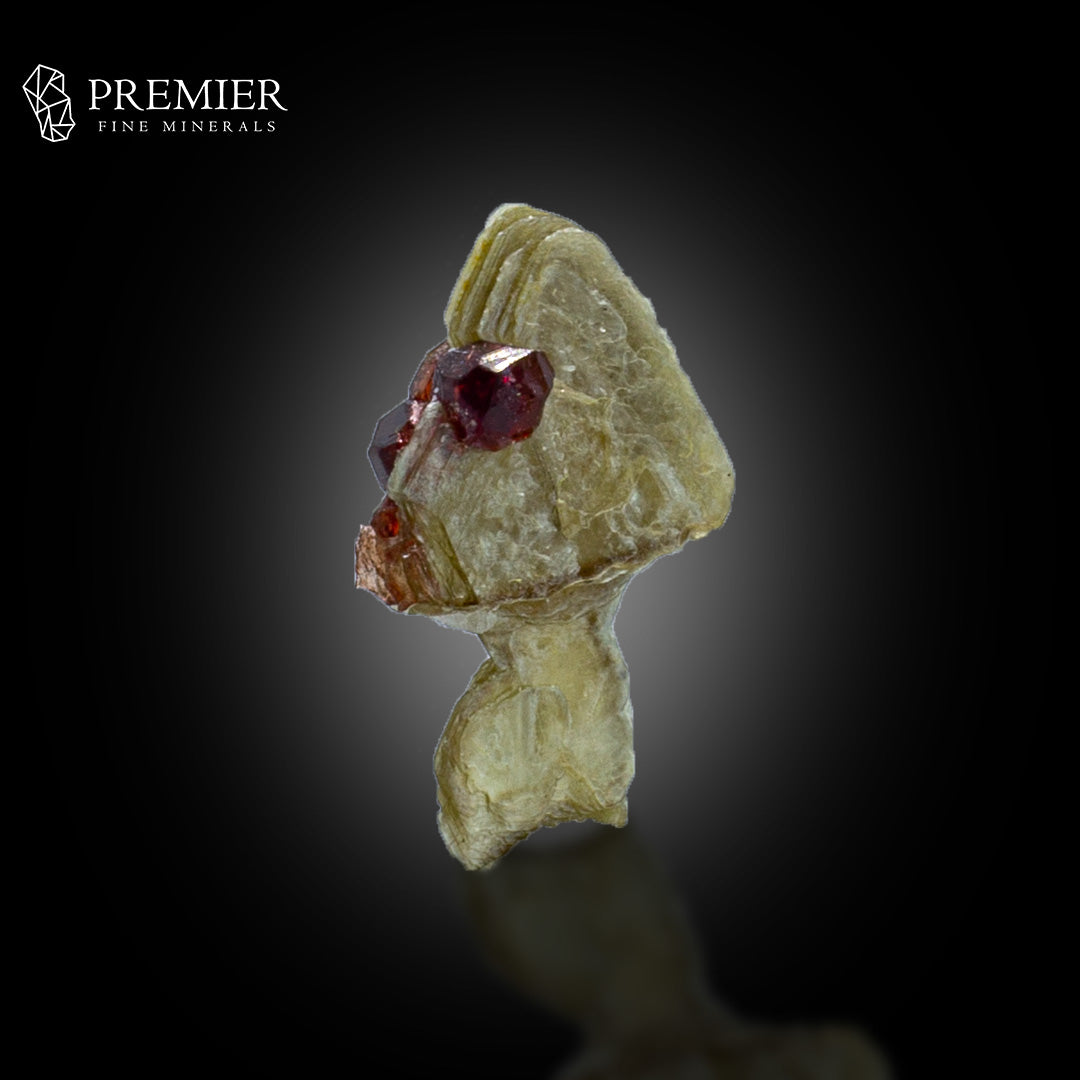 Rhodolite Garnet on Muscovite Mica – Pakistan Thumbnail