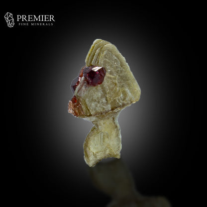 Rhodolite Garnet on Muscovite Mica – Pakistan Thumbnail