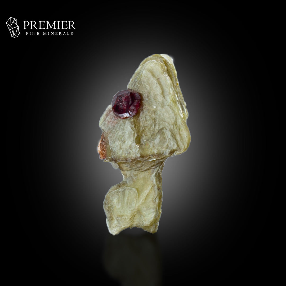 Rhodolite Garnet on Muscovite Mica – Pakistan Thumbnail