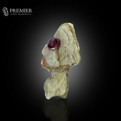 Rhodolite Garnet on Muscovite Mica – Pakistan Thumbnail