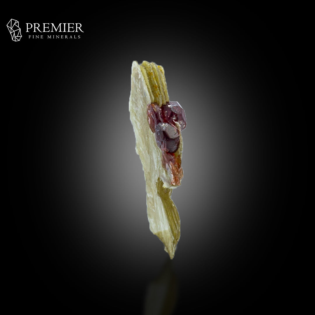 Rhodolite Garnet on Muscovite Mica – Pakistan Thumbnail