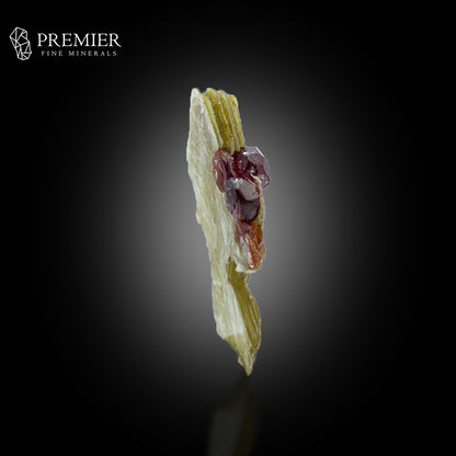 Rhodolite Garnet on Muscovite Mica – Pakistan Thumbnail