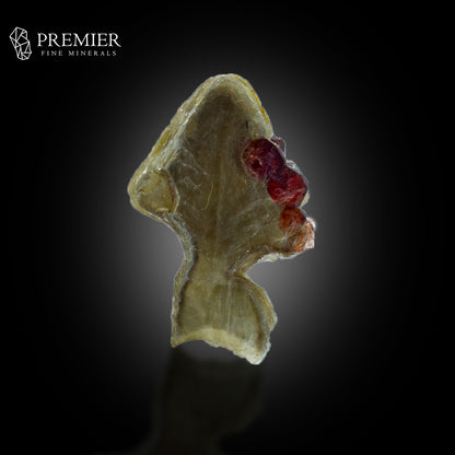 Rhodolite Garnet on Muscovite Mica – Pakistan Thumbnail