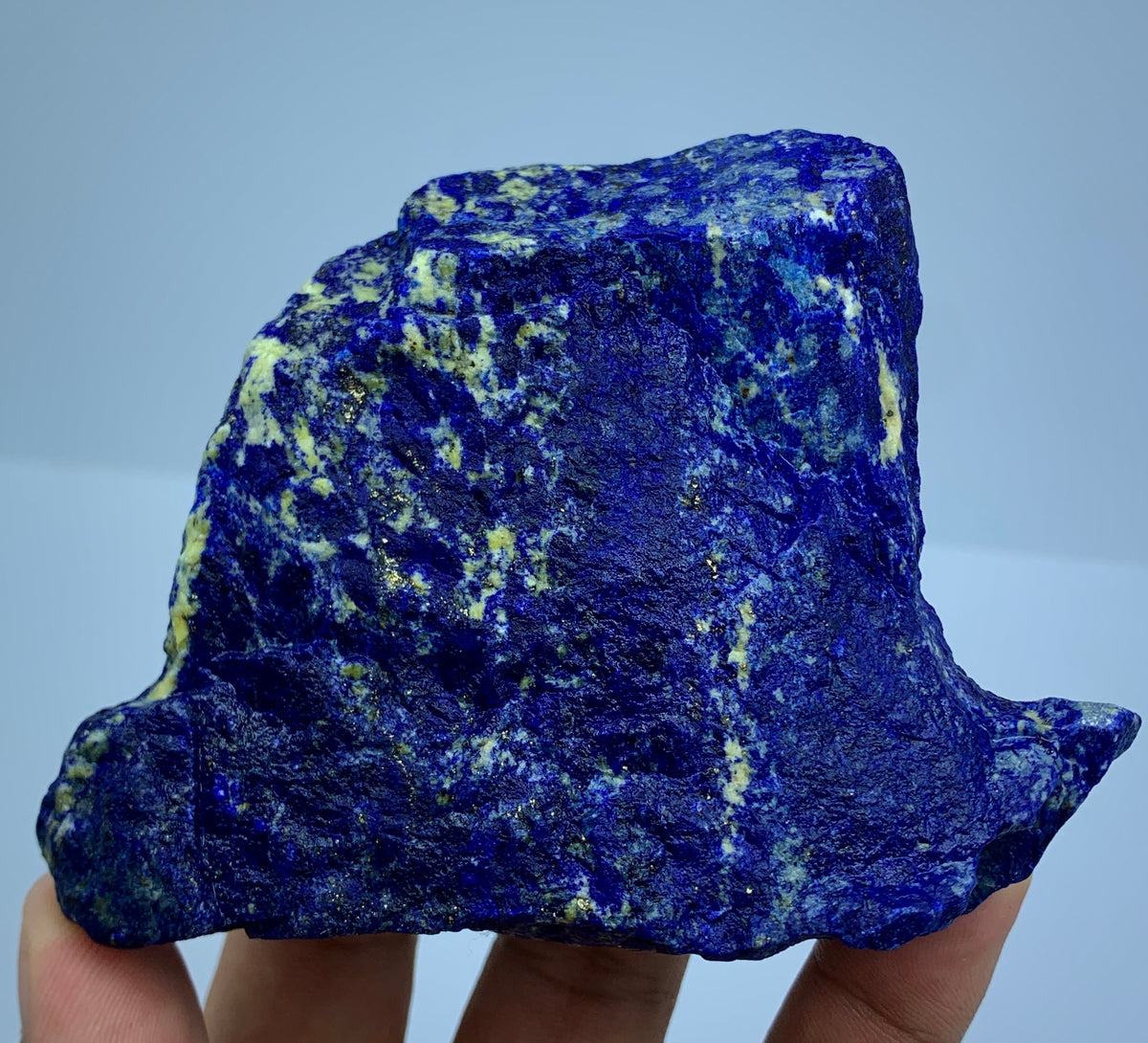 Afghan Lapis Lazuli specimen, side profile view
395g raw Lapis Lazuli specimen with Pyrite veins
Lapis Lazuli rough specimen, front angle, deep blue color
Close-up view of Pyrite veins on Lapis Lazuli specimen
Badakhshan Lapis Lazuli specimen, natural rough texture