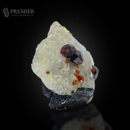 Almandine Garnet & Black Tourmaline on Quartz – Pakistan