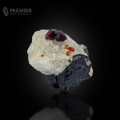 Almandine Garnet & Black Tourmaline on Quartz – Pakistan