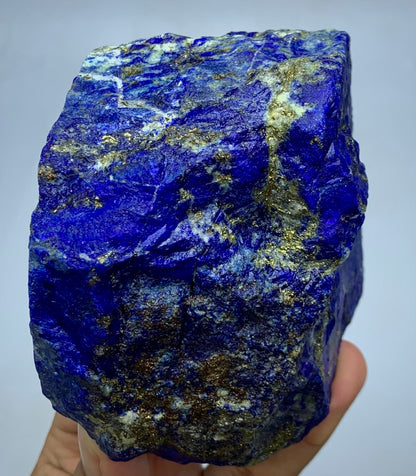 A raw, rough-cut lapis lazuli crystal specimen with deep blue, gold, and white inclusions, held in a person's hand against a light gray background.
