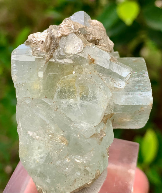 50 Grams Natural Blue Aquamarine Terminated Bunches of Crystal with Muscovite Mica from Pakistan