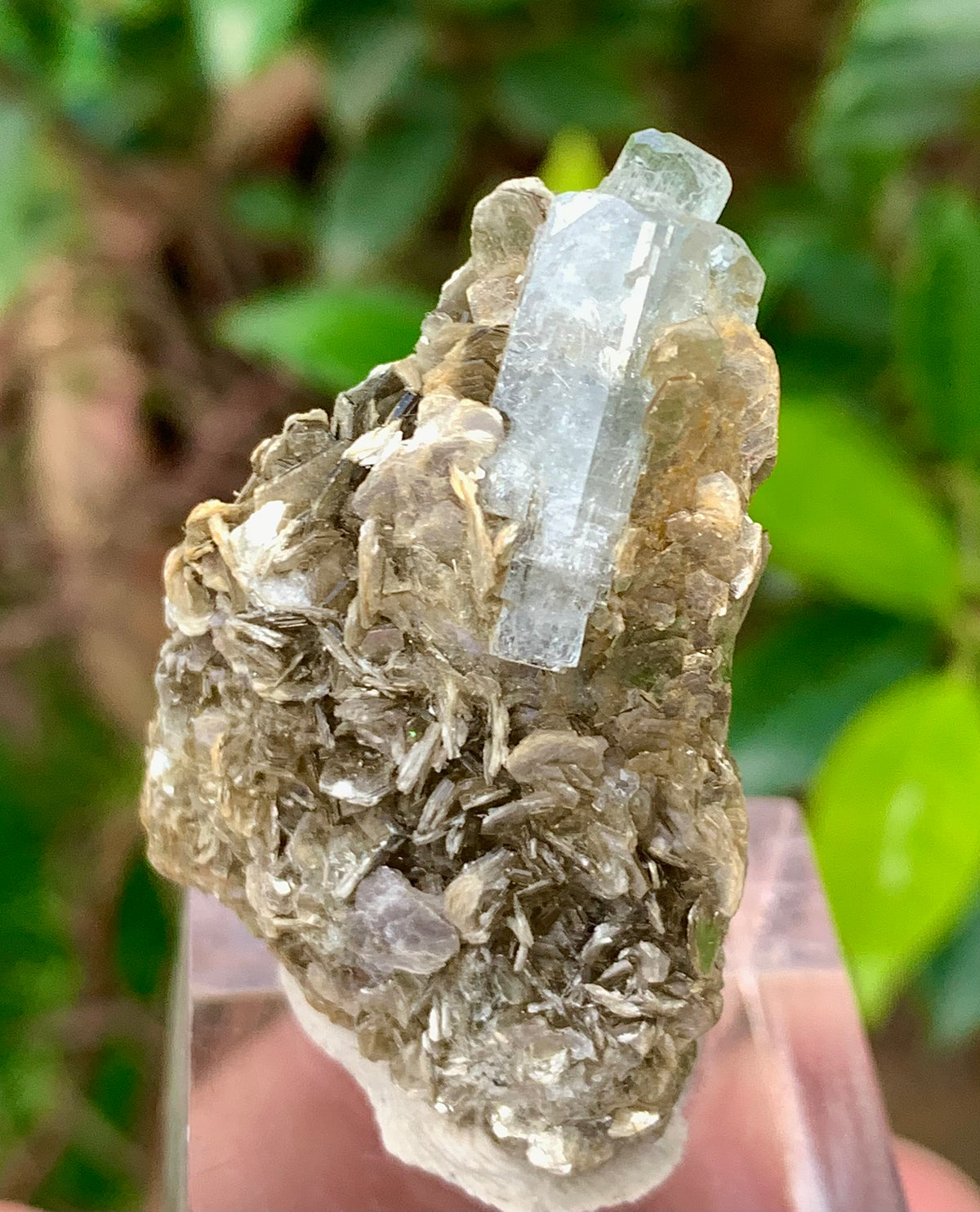 Natural Blue Aquamarine Terminated Crystal on Crystal with Muscovite Mica Matrix from Pakistan