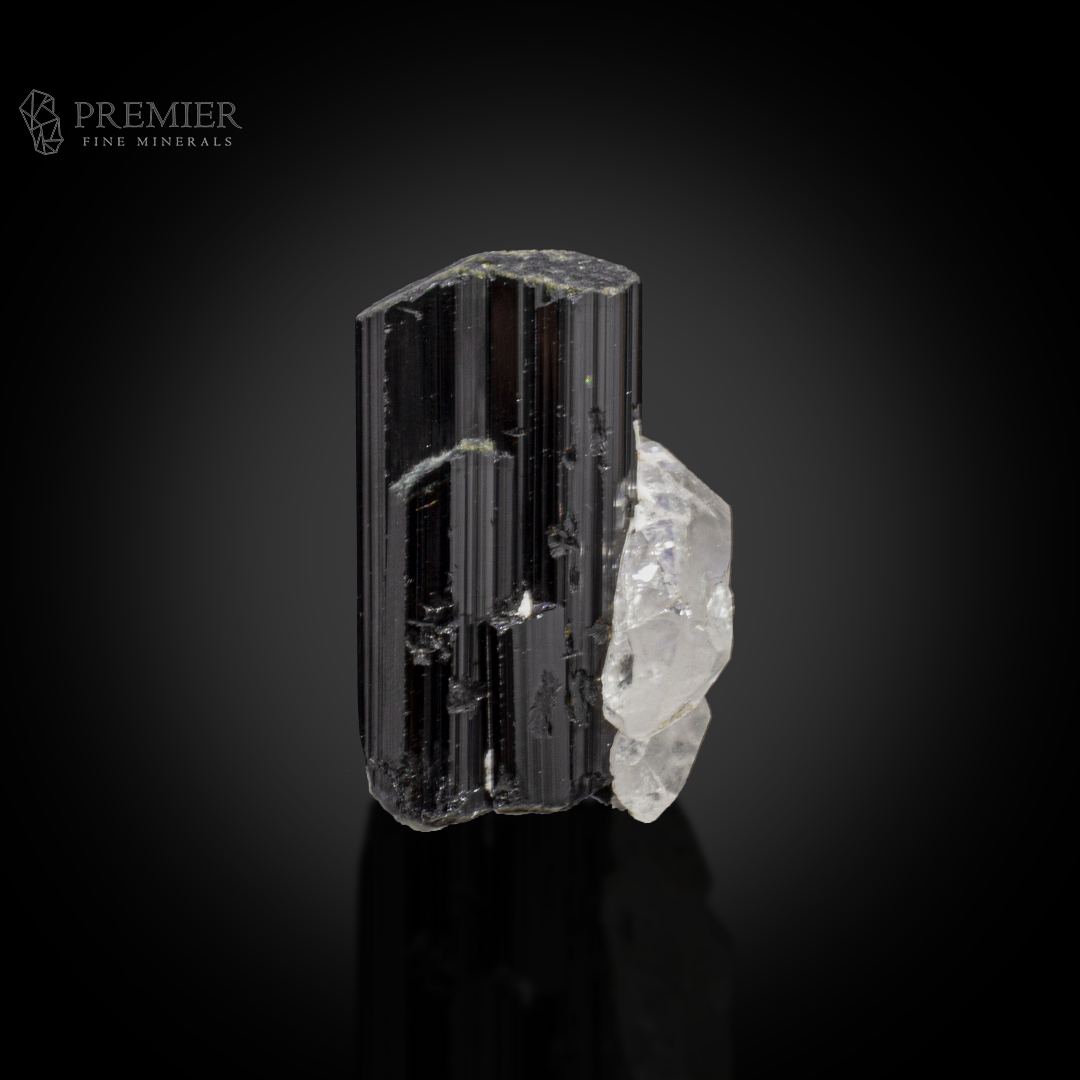 Schorl, Tourmaline, Black Tourmaline, Quartz, Crystal Cluster, Combination Specimen, 72.2 Grams, 361 Carats, Afghanistan Mineral, Raw Crystal, Collector Grade, Miniature Specimen, Contrast