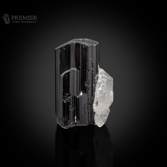 Schorl, Tourmaline, Black Tourmaline, Quartz, Crystal Cluster, Combination Specimen, 72.2 Grams, 361 Carats, Afghanistan Mineral, Raw Crystal, Collector Grade, Miniature Specimen, Contrast