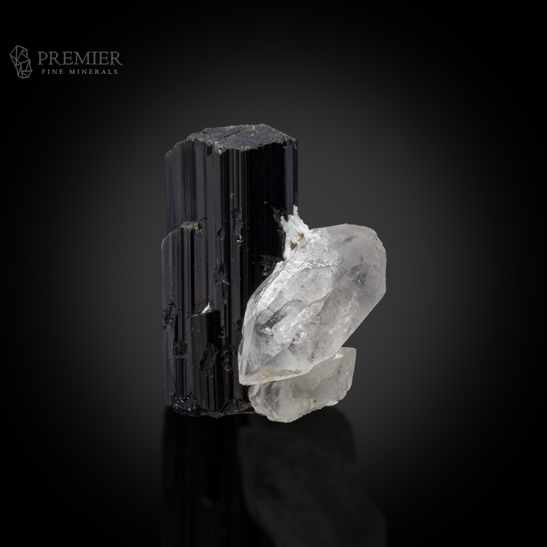 Schorl, Tourmaline, Black Tourmaline, Quartz, Crystal Cluster, Combination Specimen, 72.2 Grams, 361 Carats, Afghanistan Mineral, Raw Crystal, Collector Grade, Miniature Specimen, Contrast