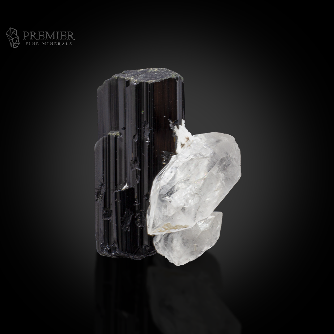 Schorl, Tourmaline, Black Tourmaline, Quartz, Crystal Cluster, Combination Specimen, 72.2 Grams, 361 Carats, Afghanistan Mineral, Raw Crystal, Collector Grade, Miniature Specimen, Contrast