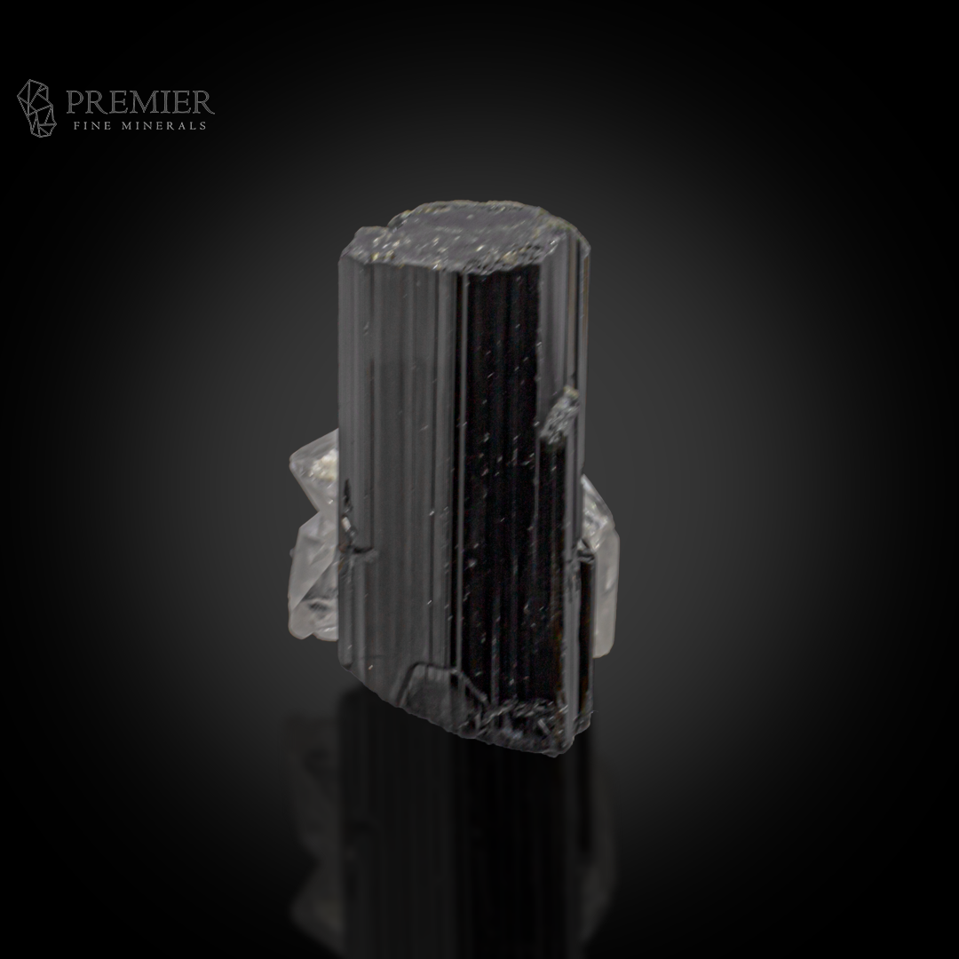 Schorl, Tourmaline, Black Tourmaline, Quartz, Crystal Cluster, Combination Specimen, 72.2 Grams, 361 Carats, Afghanistan Mineral, Raw Crystal, Collector Grade, Miniature Specimen, Contrast