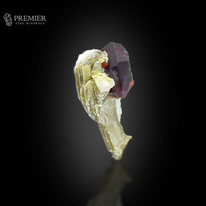 Rhodolite Garnet on Muscovite Mica – Pakistan Thumbnail