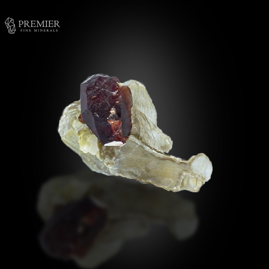 Rhodolite Garnet on Muscovite Mica – Pakistan Thumbnail