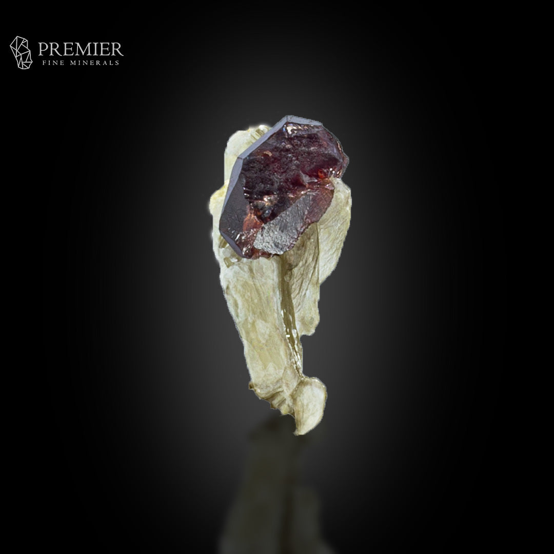 Rhodolite Garnet on Muscovite Mica – Pakistan Thumbnail