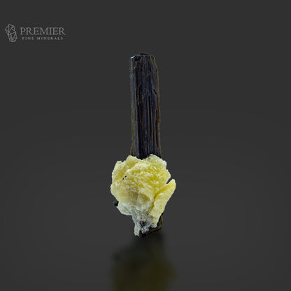 Black Tourmaline Crystal on Feldspar Matrix – Pakistan