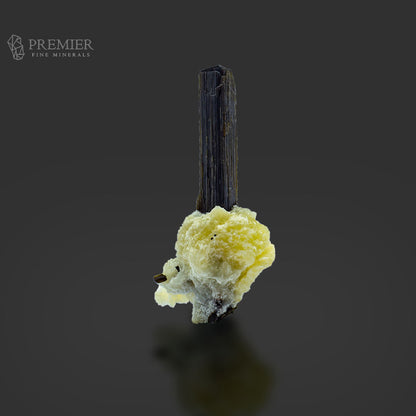 Black Tourmaline Crystal on Feldspar Matrix – Pakistan