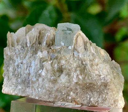 23 Grams Natural Blue Aquamarine Terminated Crystal on Muscovite Mica Matrix From Pakistan