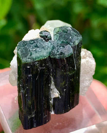 Natural Bluecap Tourmaline Bunches of Crystal with Quartz Terminated Crystal, Lepidolite and Mica Matrix
